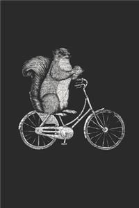 Squirrel In Bicycle