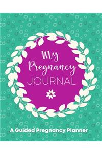 My Pregnancy Journal A Guided Pregnancy Planner