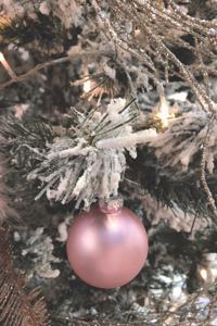 Frohe Weihnachten
