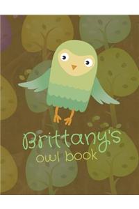 Brittany's Owl Book