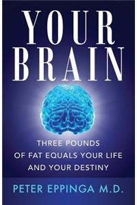 Your Brain