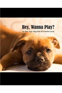 Hey, Wanna Play? Cute Boxer Puppy College Ruled 8x10 Notebook Journal