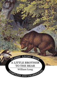 Little Brother to the Bear