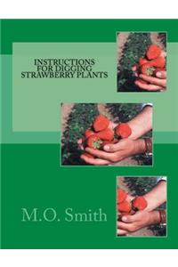 Instructions For Digging Strawberry Plants