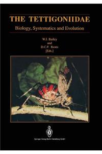 Tettigoniidae