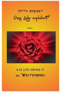 Wenn Liebe explodiert, Band 1