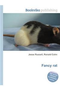 Fancy Rat