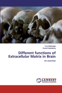 Different functions of Extracellular Matrix in Brain