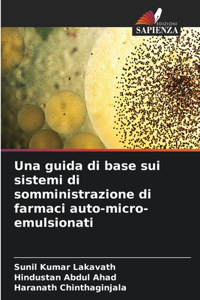 guida di base sui sistemi di somministrazione di farmaci auto-micro-emulsionati