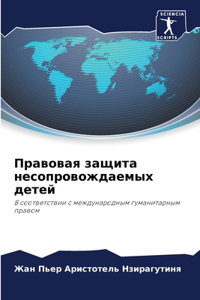 Правовая защита несопровождаемых детей