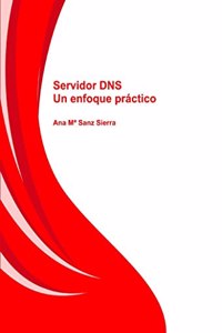 Servidor DNS: an enfoque practico