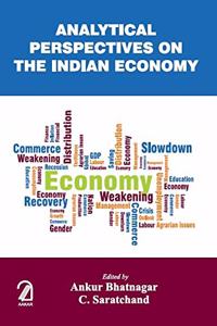 Analytical Perspectives on the Indian Economy