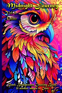Midnight Journey Vol.2 