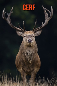 Cerf