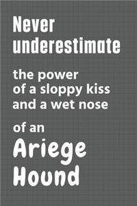 Never underestimate the power of a sloppy kiss and a wet nose of an Ariege Hound