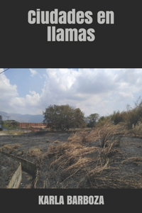 Ciudades en llamas