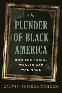 Plunder of Black America