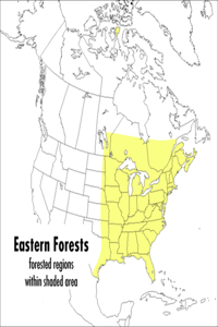 Peterson Field Guide to Eastern Forests