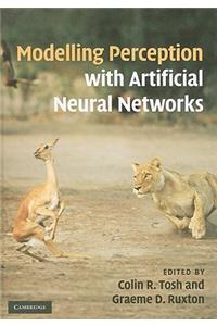 Modelling Perception with Artificial Neural Networks