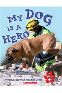 My Dog Is a Hero