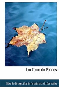 Um Feixe de Pennas