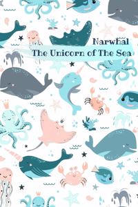 Narwhal The Unicorn of The Sea