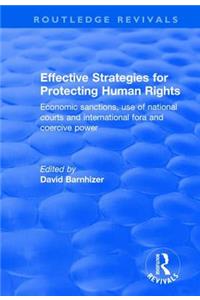 Effective Strategies for Protecting Human Rights