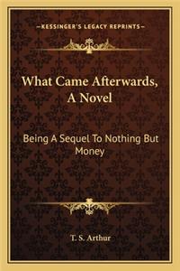 What Came Afterwards, A Novel