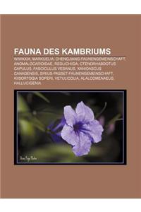 Fauna Des Kambriums: Wiwaxia, Markuelia, Chengjiang-Faunengemeinschaft, Anomalocarididae, Redlichiida, Ctenorhabdotus Capulus