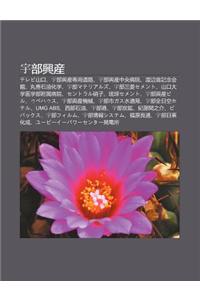 Y Bu Xing Ch N: Terebi Sh N K U, y Bu Xing Ch N Zhu N Yong DAO Lu, y Bu Xing Ch N Zh Ng y Ng Bing Yuan, Du Bi N W Ng Ji Nian Hui Gu N