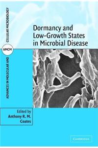 Dormancy and Low Growth States in Microbial Disease