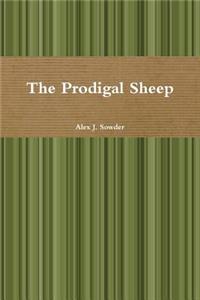 Prodigal Sheep