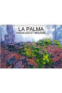 Palma Aiguilles Et Mousses 2018