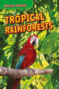 Amazing Habitats: Tropical Rainforests