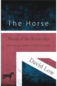 Horse - Breeds of the British Isles (Domesticated Animals of the British Islands)