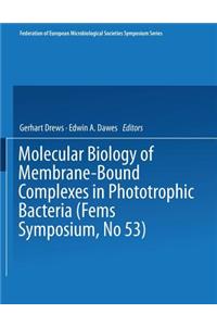 Molecular Biology of Membrane-Bound Complexes in Phototrophic Bacteria