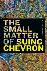 Small Matter of Suing Chevron