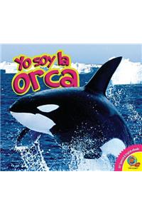 Orca