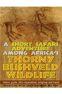 Short Safari adventure among Africa's thorny Bushveld wildlife