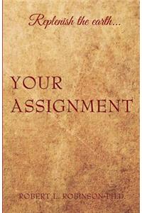 Your Assignment