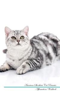 American Shorthair Cat Affirmations Workbook American Shorthair Cat Presents