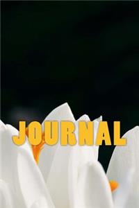 Journal