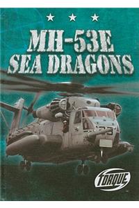 MH-53E Sea Dragons