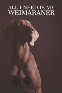 All I need is my Weimaraner