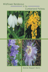 Wildflower Rendevous in the Cumberland Plateau