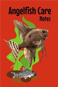 Angelfish Care Notes