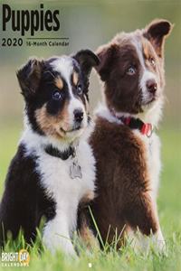 PUPPIES WALL CALENDAR 2020