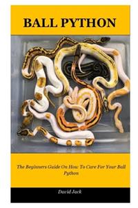 Ball Python