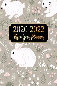 2020-2022 Three Year planner