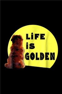 Life Is Golden